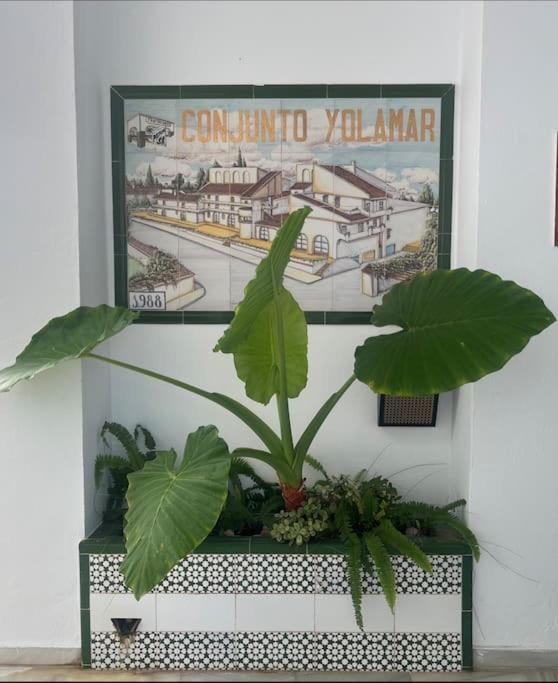 Love Rent4 Malaga Yolamar Беналмадена Екстериор снимка
